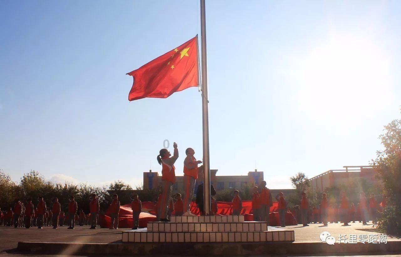 了解一对的鹦鹉雏鸟是养在一起还是分开养?知识星球平台,加入我们的学习社群